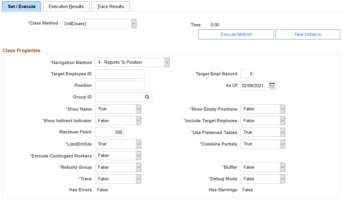 Invoke Direct Reports API - Set / Execute page