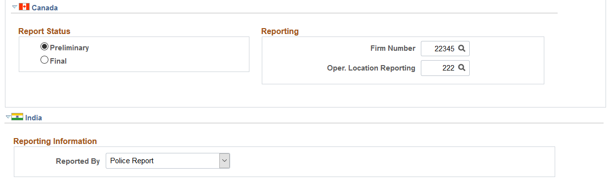Incident Details - Reporting page (2 of 2)
