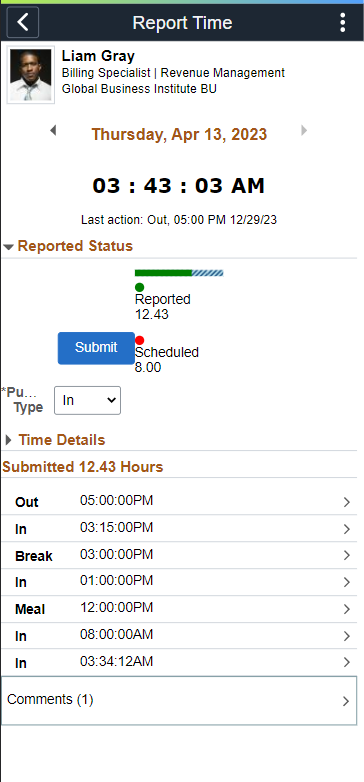 Report Time Page for Punch Time Reporter with comments