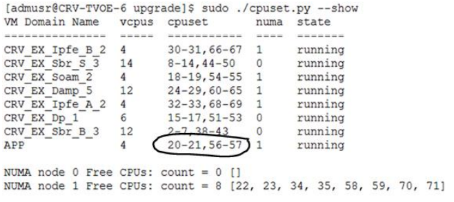 CPU Pinning Allocation