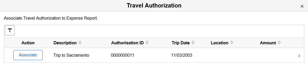 Travel Authorization (associate)