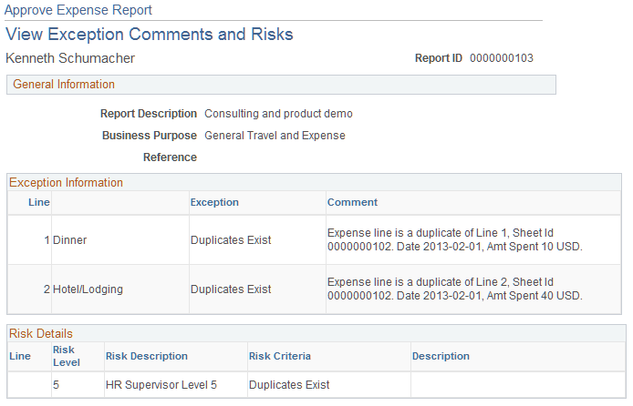 Approve Expense Report - View Exception Comments and Risks page