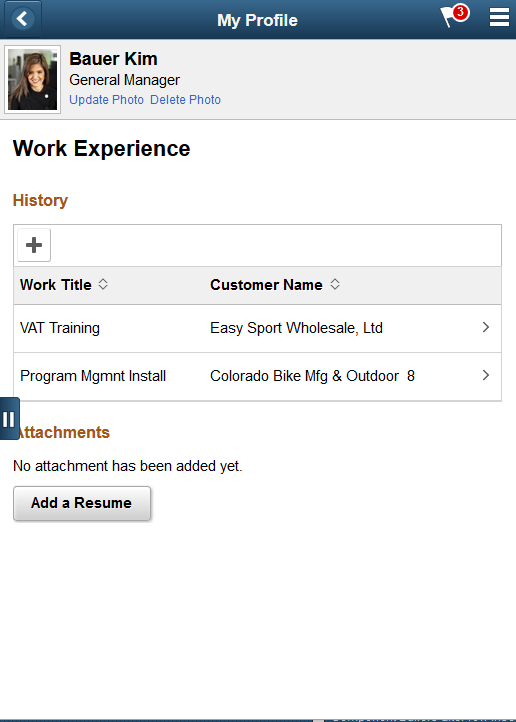 Work Experience page as displayed on a smartphone