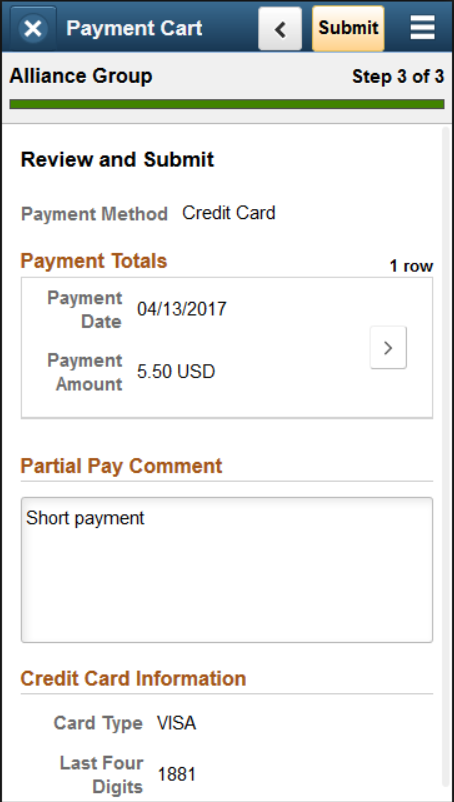 Step 3 of 3: Review and Submit a credit card payment (SFF)