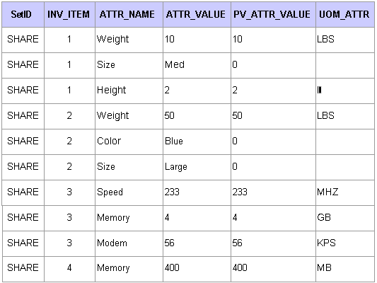 Example of item attributes in the PV_ITM_ATTR_TBL record.