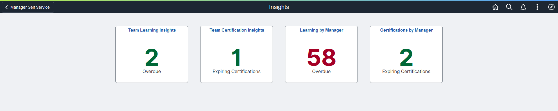 Insights Dashboard