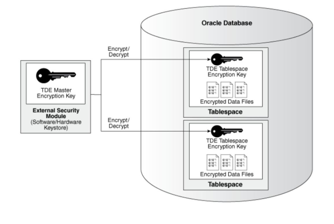 Transparent Data Encryption for Cloud Manager
