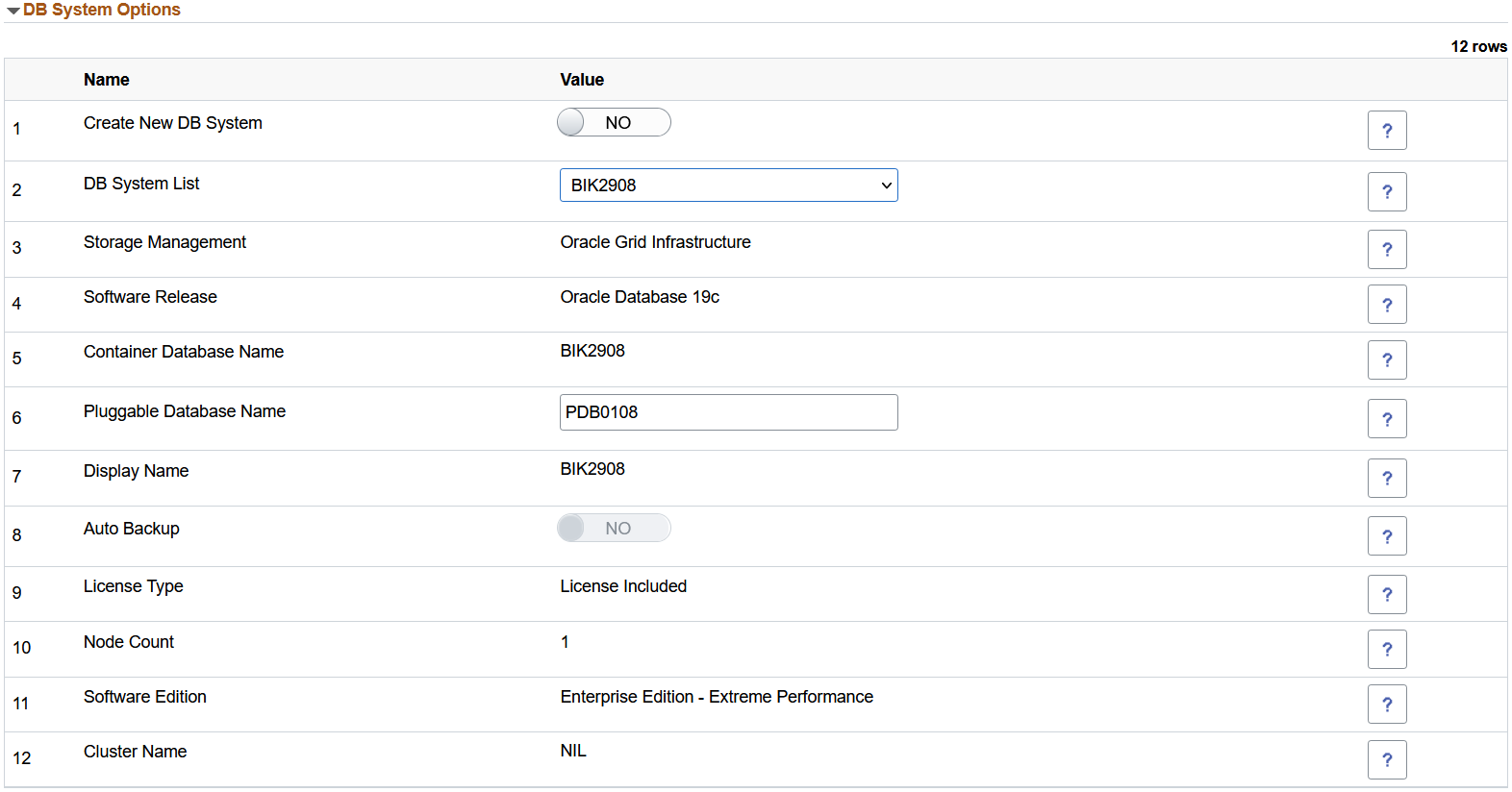 DB System Options section for VM