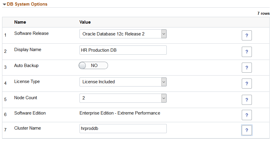 DB System Options