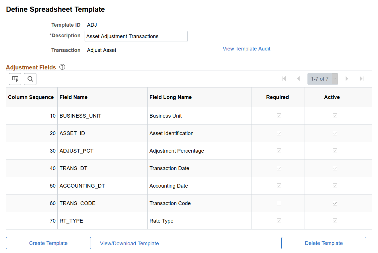 Define Spreadsheet Template Page (Adjust Asset)