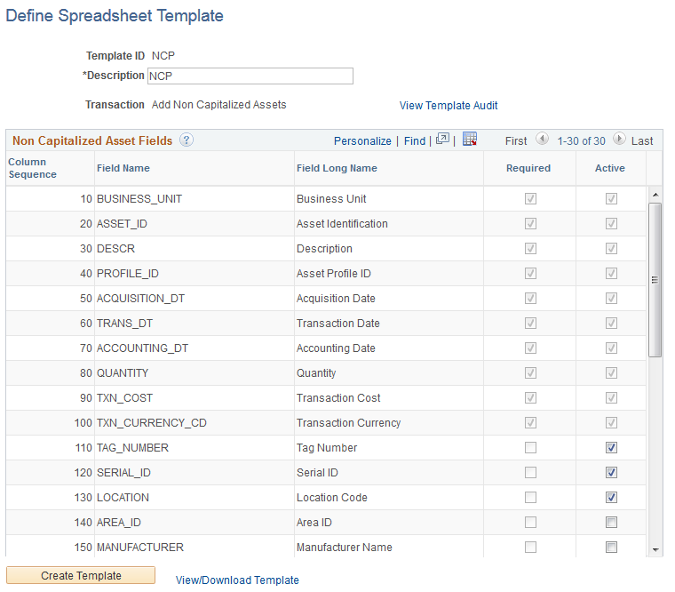 Define Spreadsheet Template Page (Add Non Capitalized Assets)