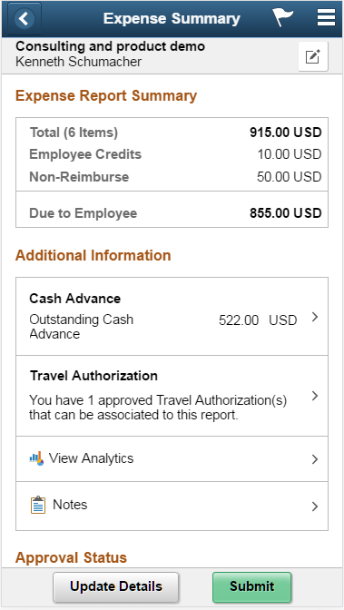 Expense Summary page as displayed on a smartphone - Cash Advance