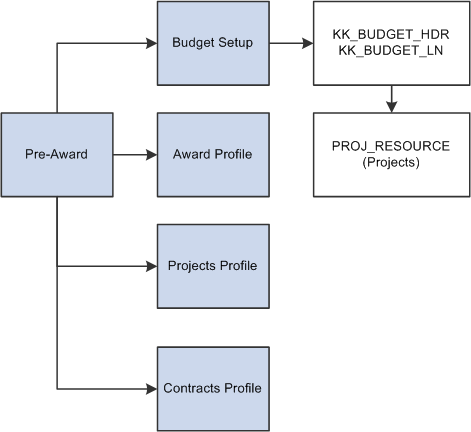 Data movement in PeopleSoft Grants