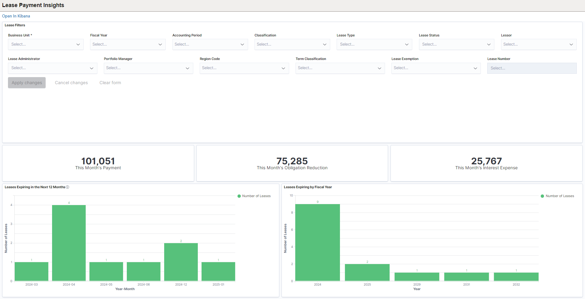 Lease Payment Insights Dashboard