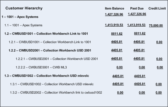 Collection Workbench Customer Hierarchy