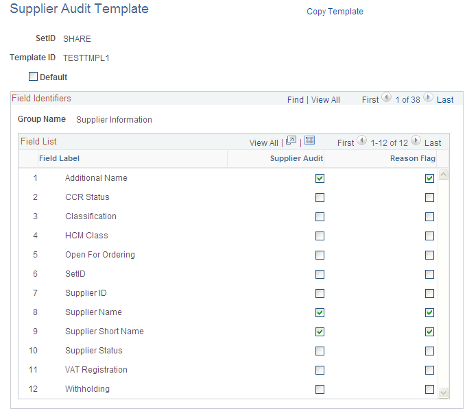 Supplier Audit Template