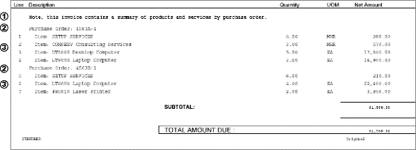 An excerpt from a summarized invoice