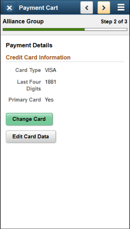 Step 2 of 3: Payment Details for a credit card payment (SFF)