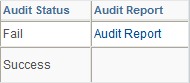 Search Definition - Audit Report columns