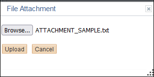 File Attachment dialog box