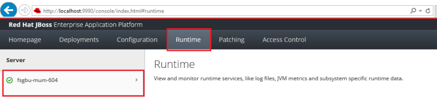 Runtime Tab