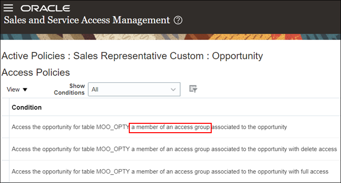 アクセス・グループへのアクセス権を付与するデータ・セキュリティ・ポリシーを示すスクリーンショット。