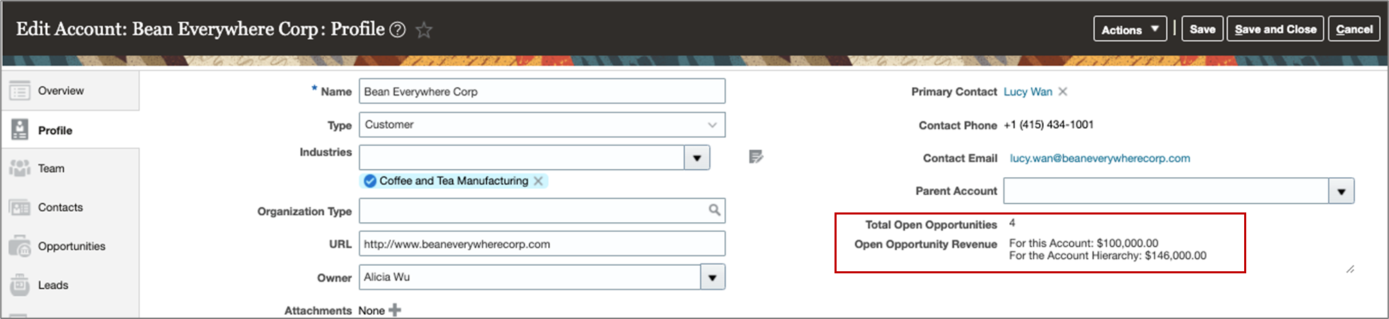 このスクリーン・ショットは、「アカウント・プロファイル」ページのもので、式フィールドを使用して追加されたロールアップを示しています。