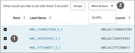 リード・リスト・ページで複数のリードを選択した場合に使用できる処理を示すスクリーンショット。 コールアウトで強調表示されている機能は、テキストで説明されています。 