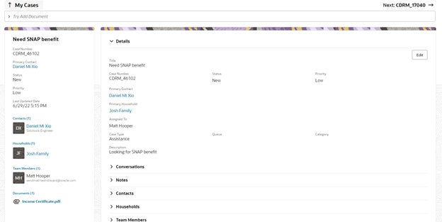 ケース・ページの拡張可能要素。