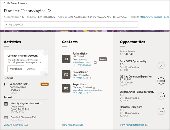 これは、階層パネルのないアカウント詳細ページのスクリーンショットです。