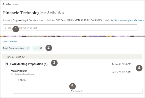 Eメール通信フィルタを追加した後のEメールが表示されたアクティビティを示すサンプル・アカウント。 コールアウトは、テキストで説明する機能を強調表示しています。 