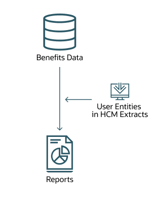 BENXMLのユーザー・エンティティを使用してデータを抽出する方法を示す図