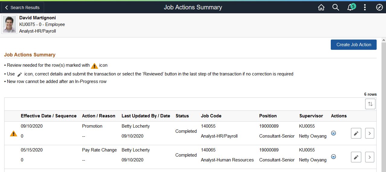 Job Actions Summary page showing rows that need to be reviewed