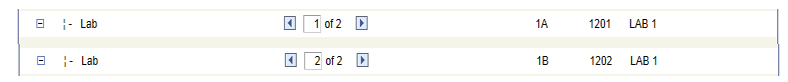 Example of labs for individual graded section setting