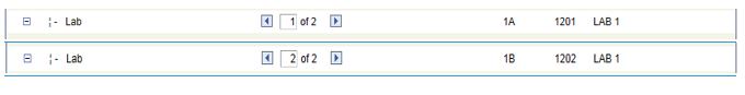 Example of Labs generated for Class Association 1