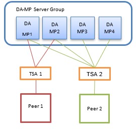 Peer nodes configured via IPFE TSAs