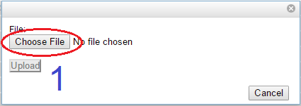 Choose File