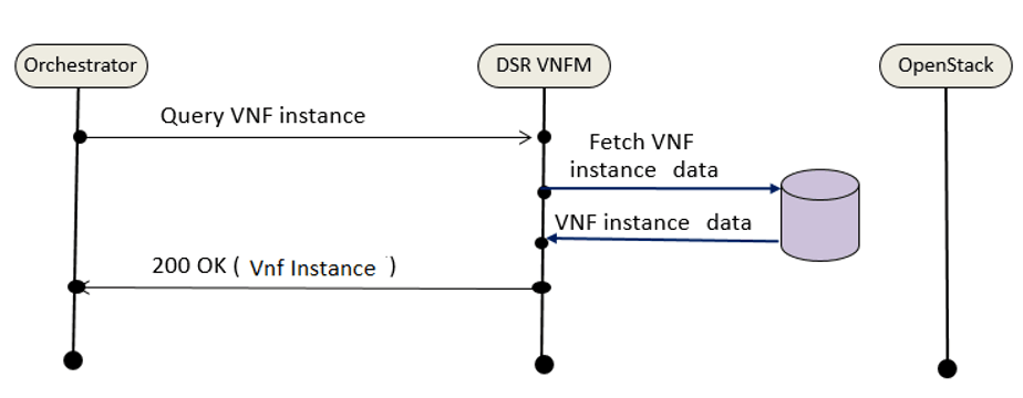 Query VNF Instance