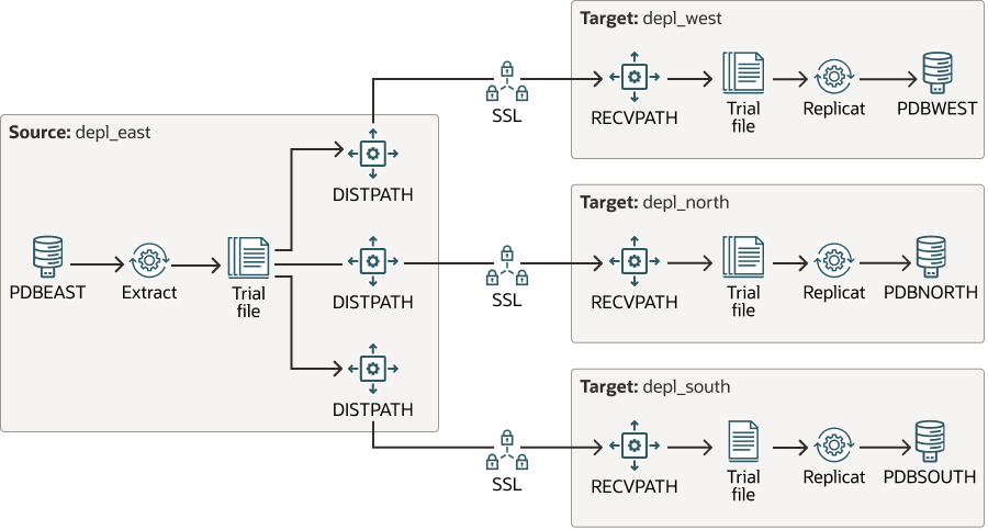 複数のDISTPATHSを使用した証跡データのブロードキャスト。 複数のDISTPATHSを使用した証跡データのブロードキャスト。