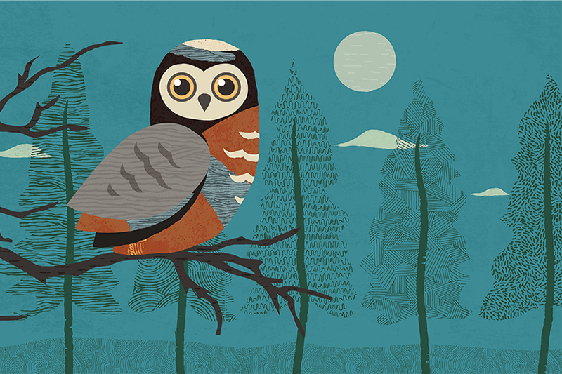 Be wise and make Updating Siebel CRM easy.