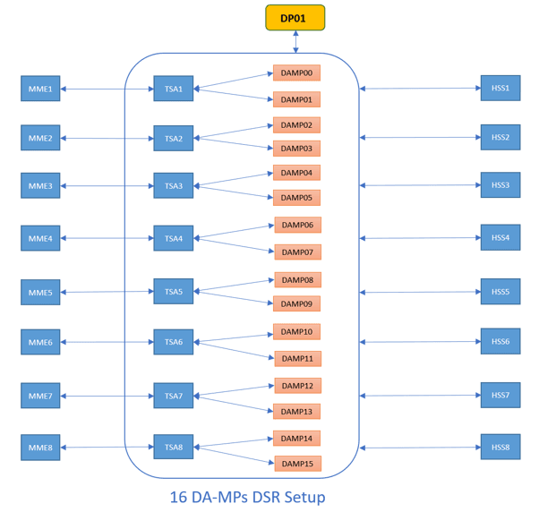 SDS DP Testing Topology