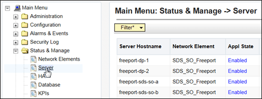 Main Menu - Server