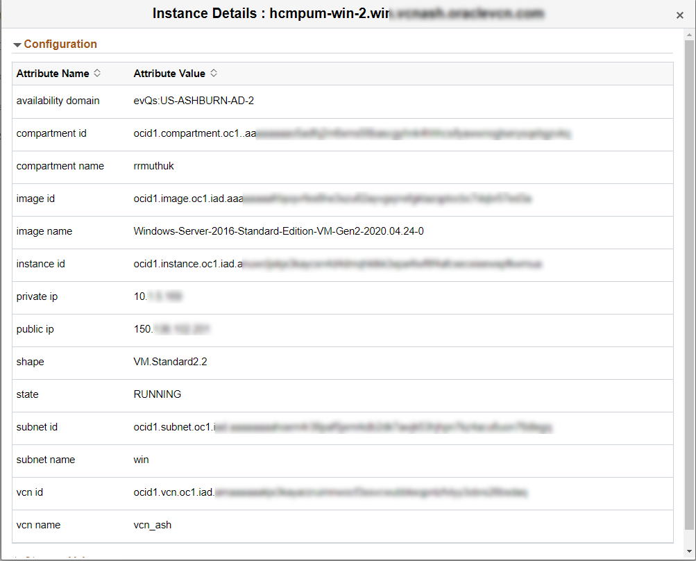 Instance Details Modal Window