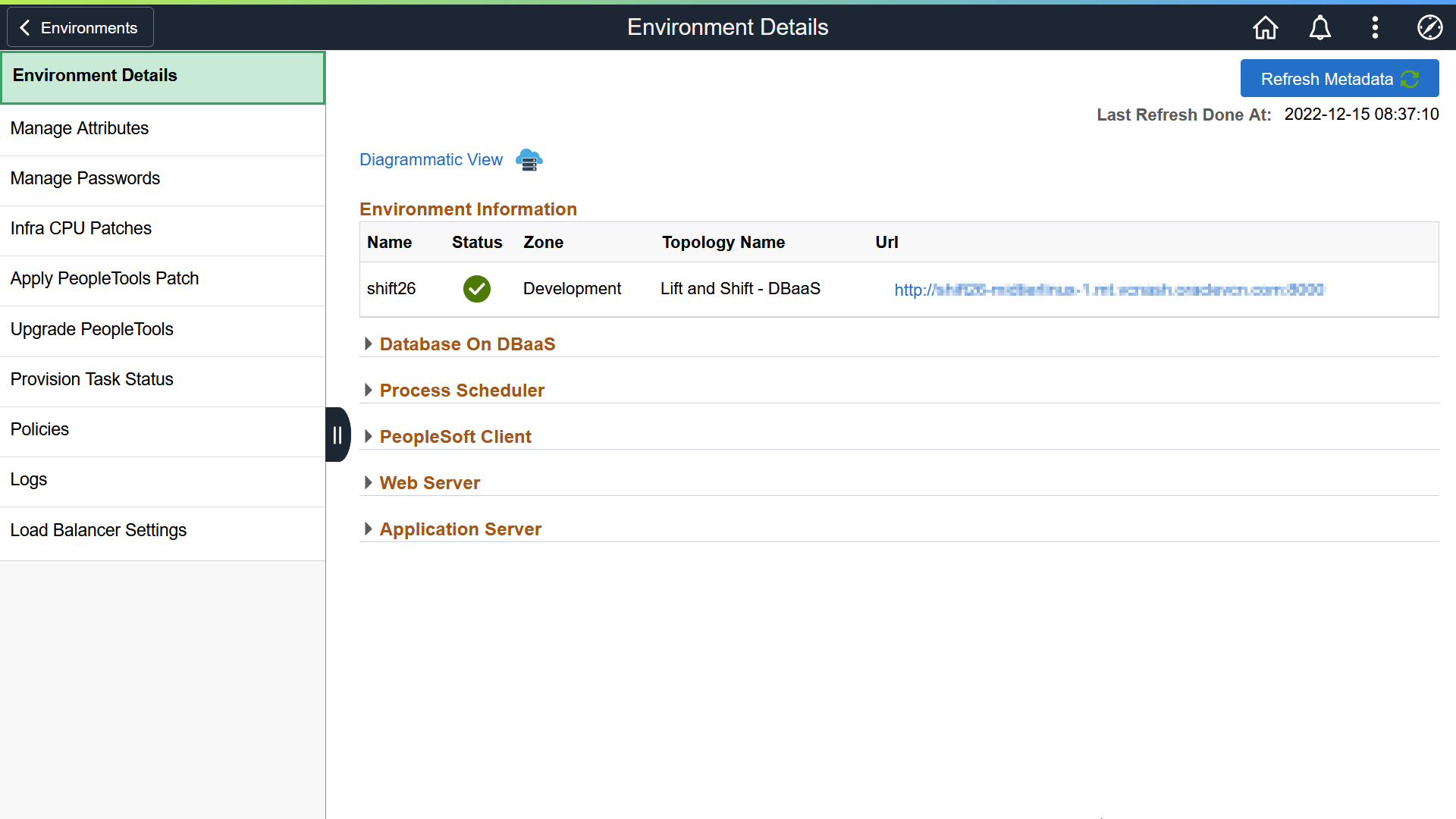 Environment Details page