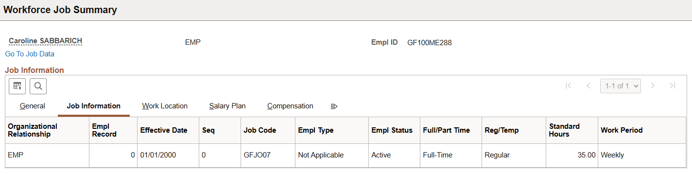 Workforce Job Summary inquiry page