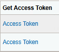 Authorized Flow Grant Type page - Get Access Token