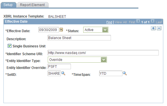 XBRL Instance Template - Setup page