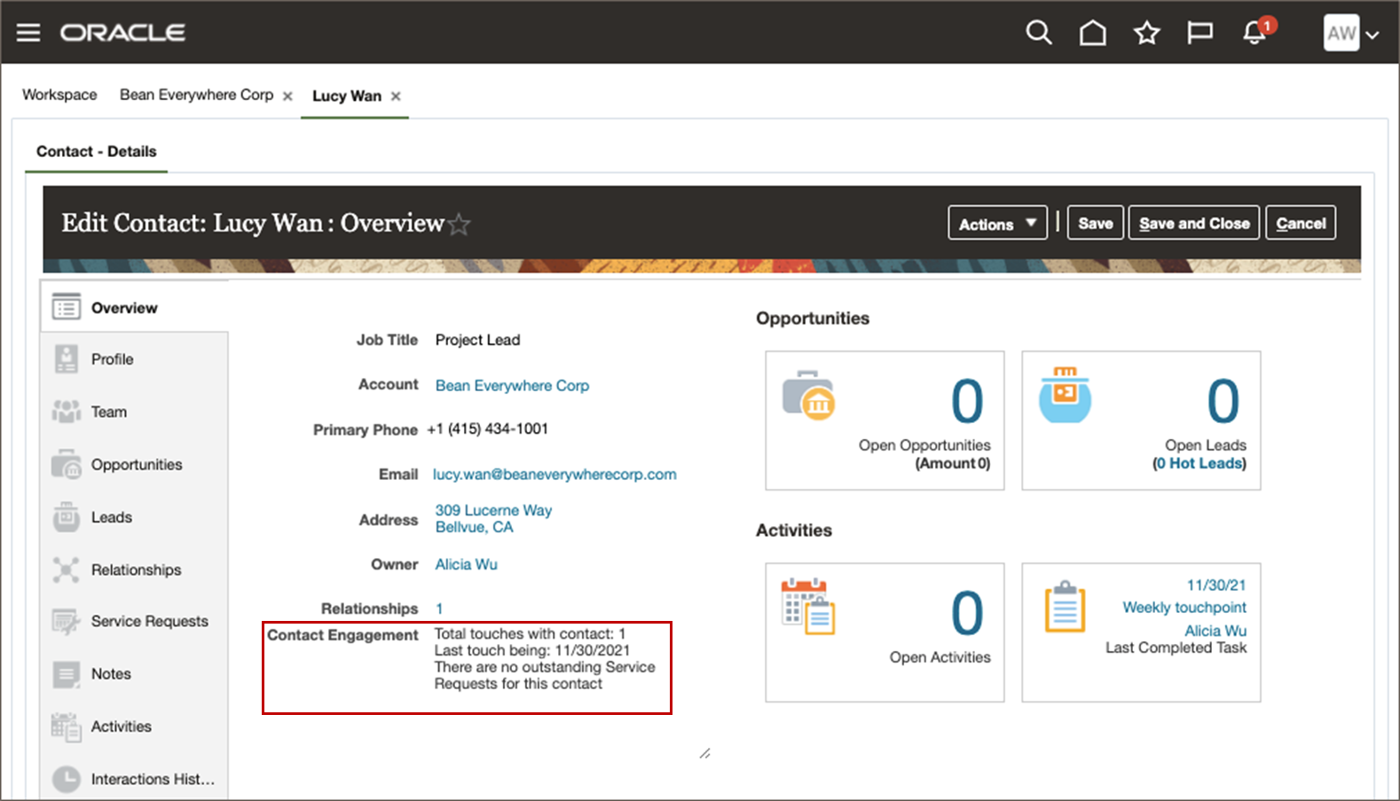 このスクリーン・ショットは、「担当者プロファイル」ページのもので、複数行テキスト・エリアの式フィールドを使用して追加されたロールアップを示しています。