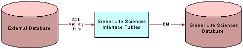 Process Flow From an External Database to the SIA Database: This image is described in the surrounding text.