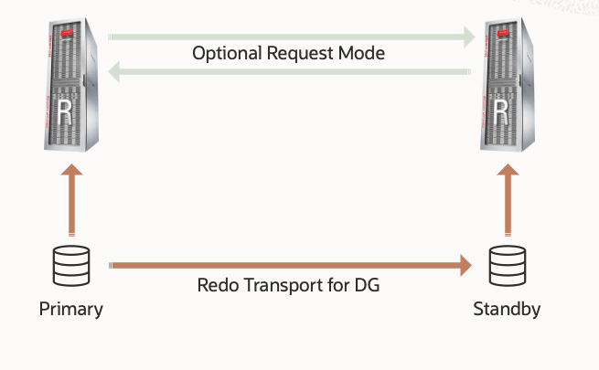 MAA Goldバックアップ構成